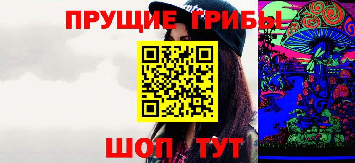 Псилоцибиновые грибы мицелий  Вход с VPN  купить   Сальск  Галлюциногенные грибы Psilocybine cubensis 