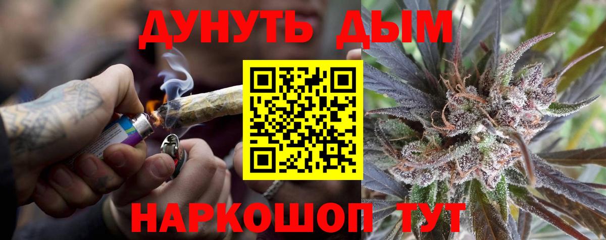 Канабис гибрид Сальск